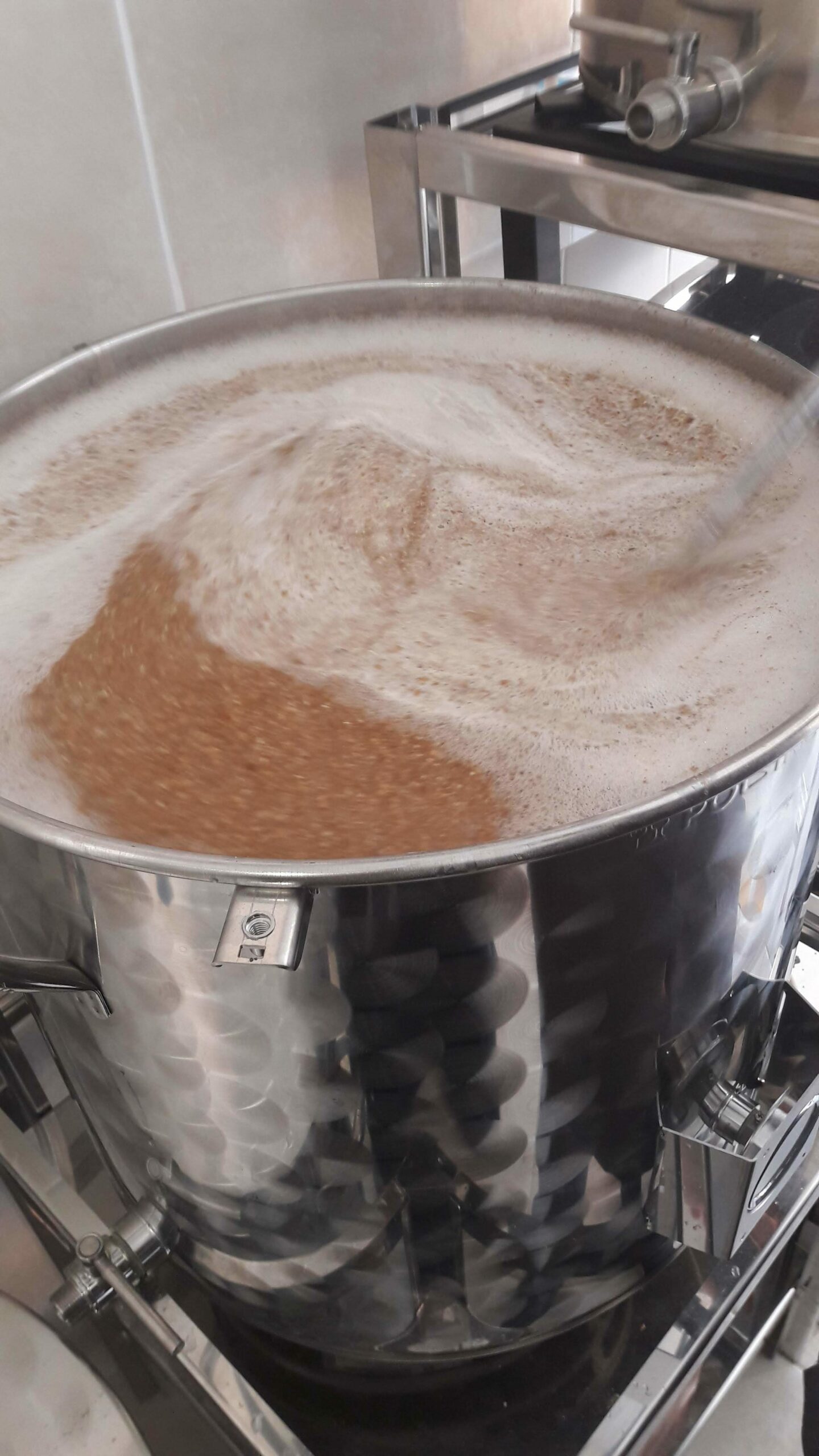 Craft brewing during a Nova Vida workshop, in Loulé